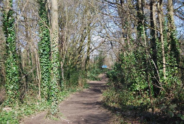 118 Shepherds Lane ダートフォード エクステリア 写真